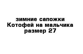 зимние сапожки Котофей на мальчика размер 27